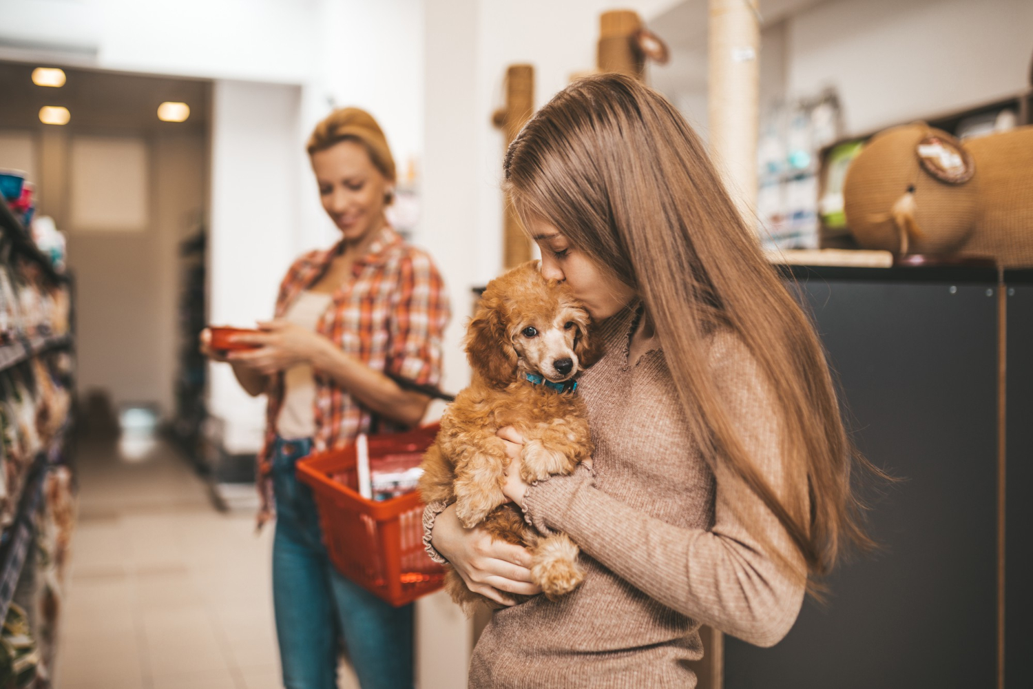 Cum Poți Cumpăra Hrană pentru Animalele de Companie: Ghid pentru Proprietari Responsabili
