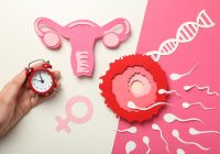 Inseminarea Intrauterină: O Opțiune Eficientă în Tratamentul Infertilității