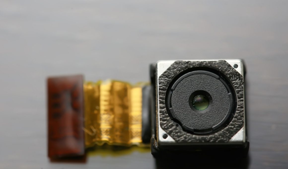 camera spion